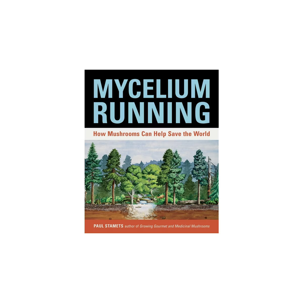 Mycelium Running: How Mushrooms Can Help Save the World
