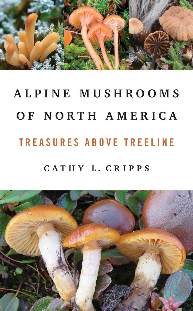 Alpine Mushrooms of North America: Treasures Above Treeline