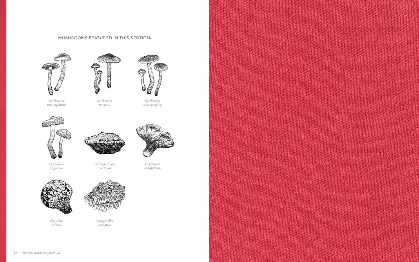 The Mushroom Color Atlas - A Guide to Dyes and Pigments Made from Fungi