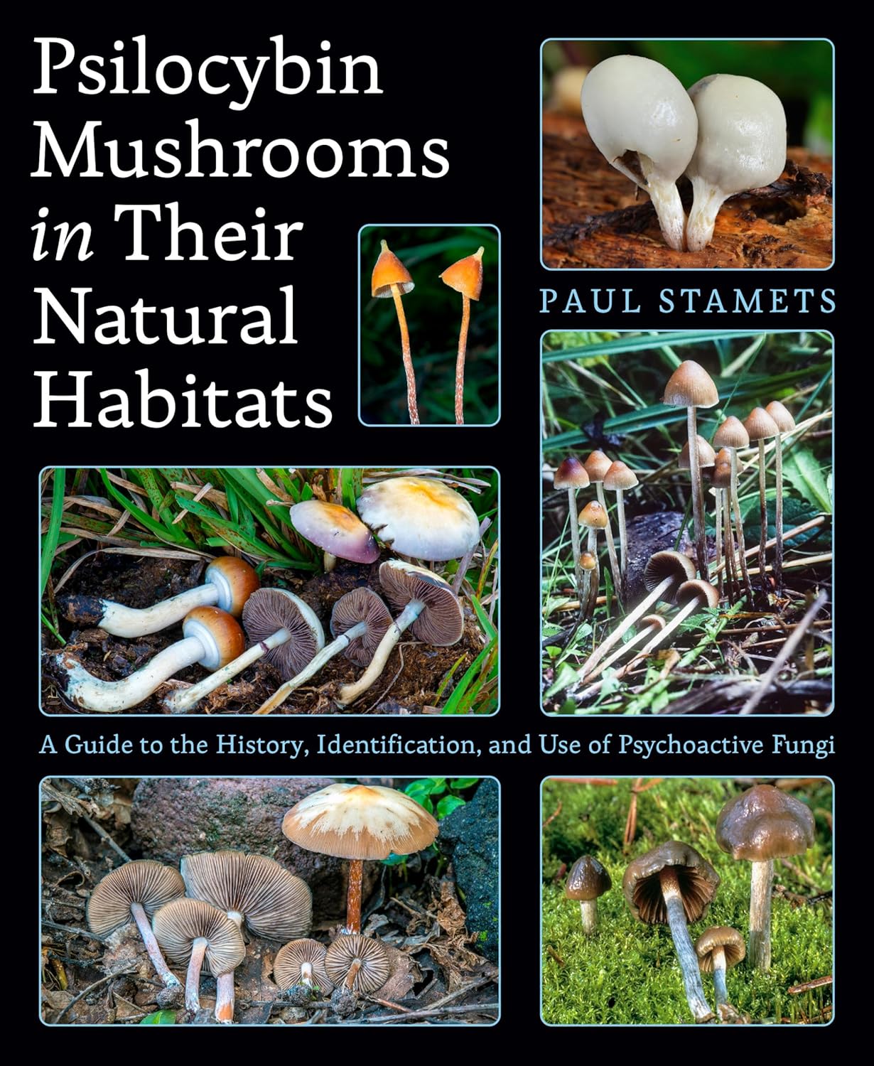 Psilocybin Mushrooms in Their Natural Habitats: A Guide to the History, Identification, and Use of Psychoactive Fungi