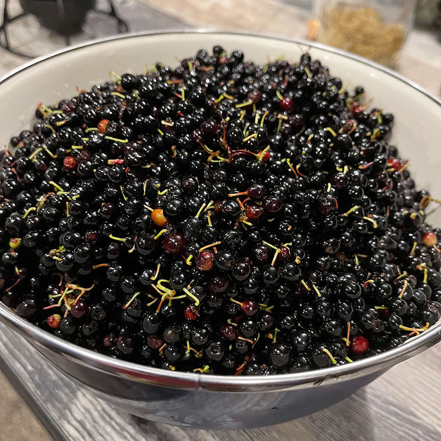 Swedish Berry Picker