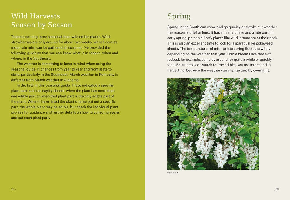 Southeast Foraging: 120 Wild and Flavorful Edibles from Angelica to Wild Plums
