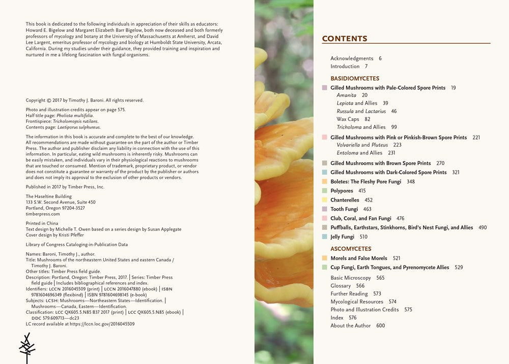 Mushrooms of the Northeastern United States and Eastern Canada