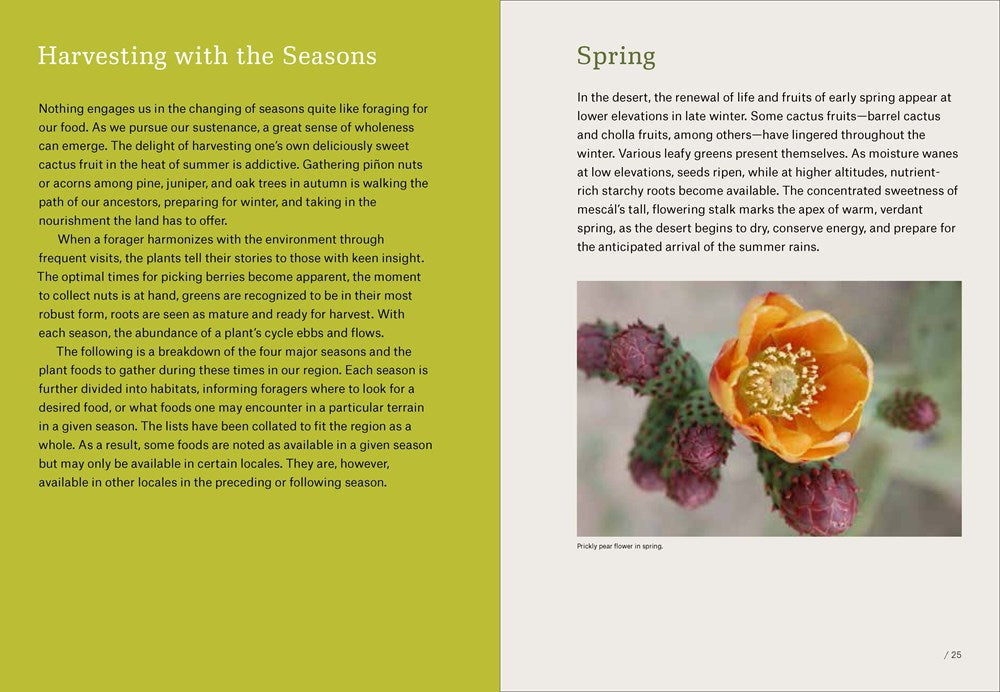 Southwest Foraging: 117 Wild and Flavorful Edibles from Barrel Cactus to Wild Oregano
