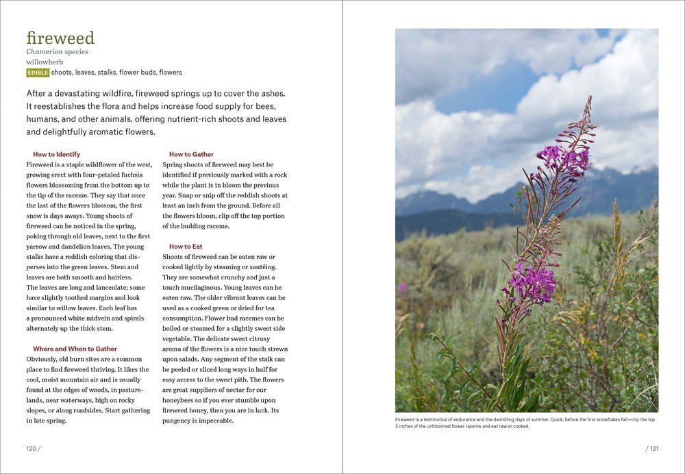 Mountain States Foraging: 115 wild and flavorful edibles from alpine sorrel to wild hops