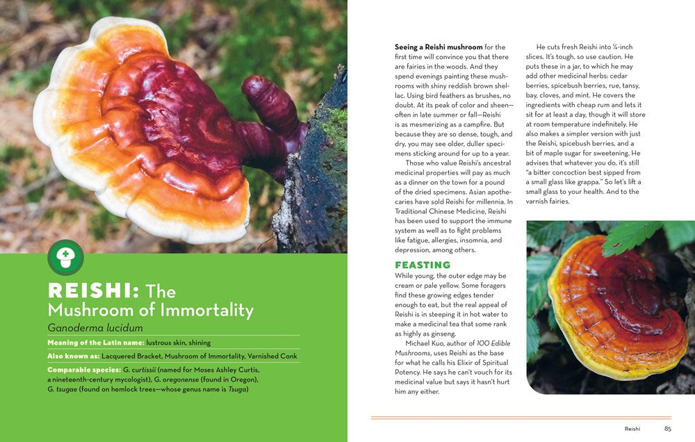 How to Forage for Mushrooms Without Dying: An absolute beginner's guide to identifying 29 wild, edible mushrooms