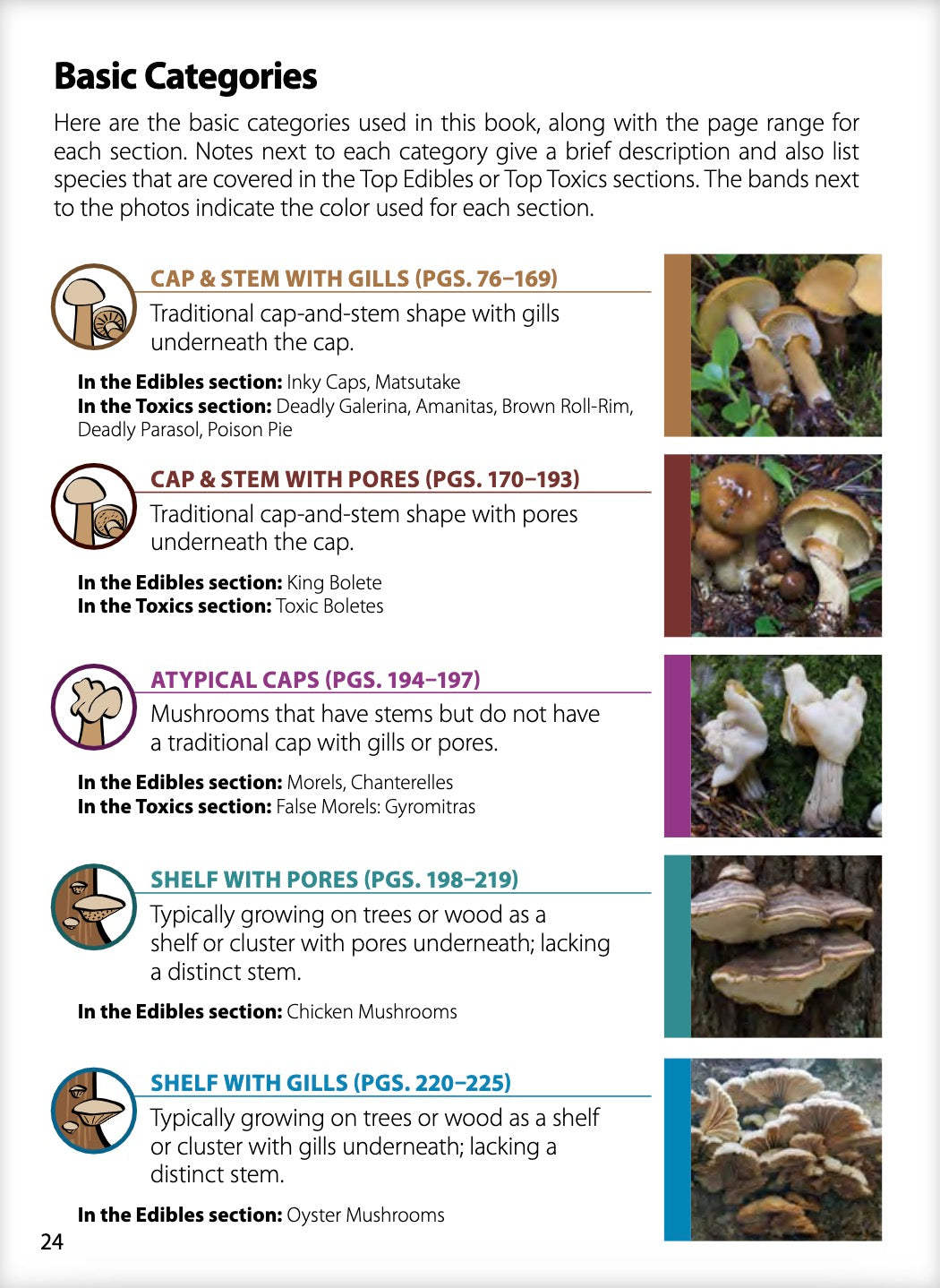 Mushrooms of the Northwest