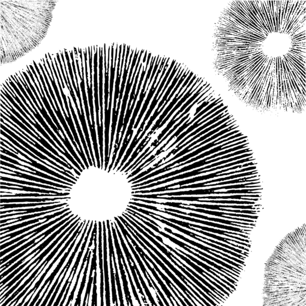 Spore Print Microfiber Duvet Cover