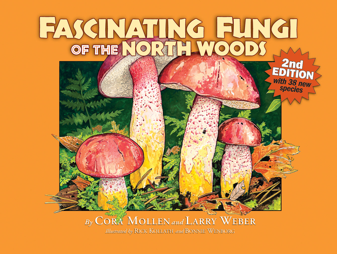 Fascinating Fungi of the Northwoods