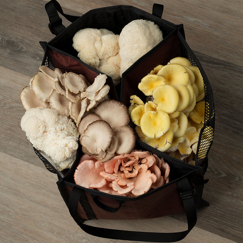 Foraging Bag