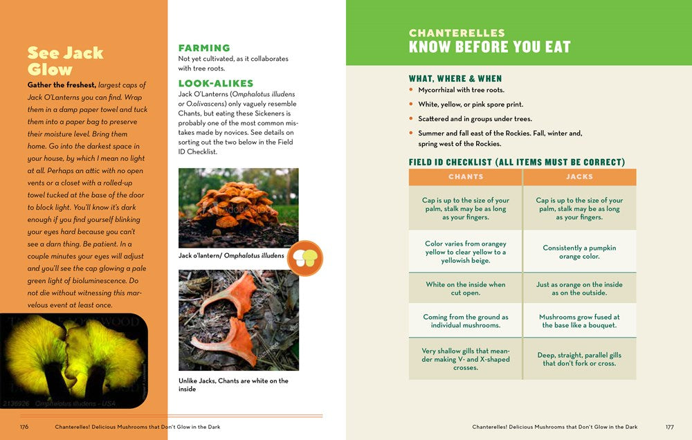 How to Forage for Mushrooms Without Dying: An absolute beginner's guide to identifying 29 wild, edible mushrooms