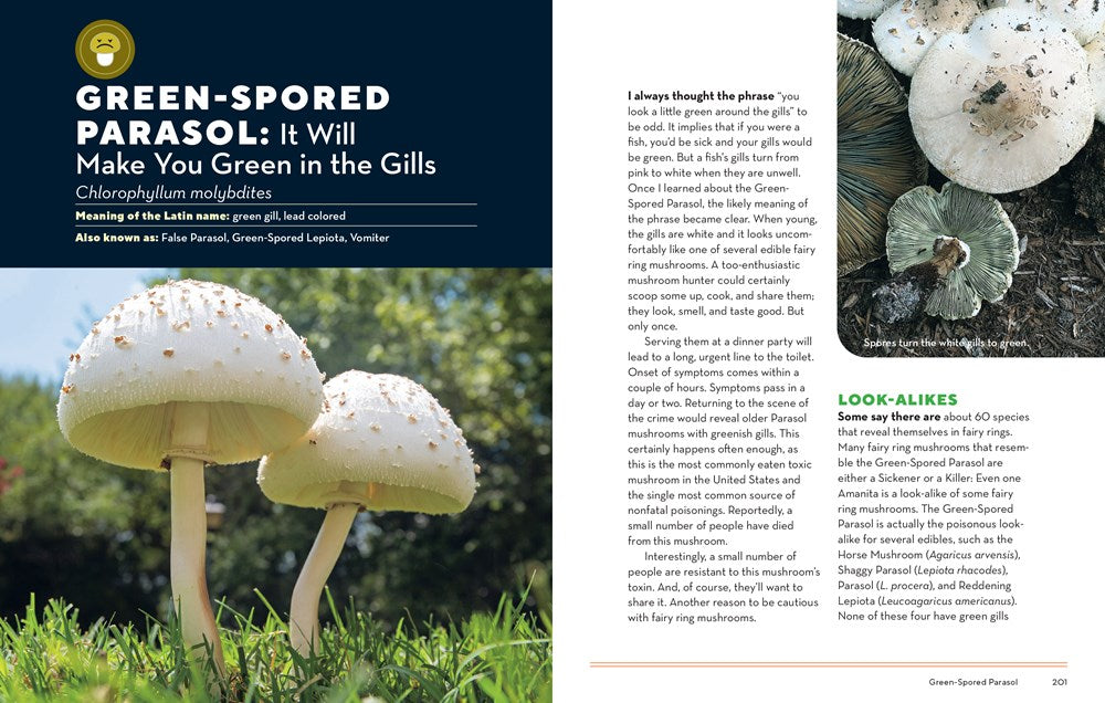 How to Forage for Mushrooms Without Dying: An absolute beginner's guide to identifying 29 wild, edible mushrooms