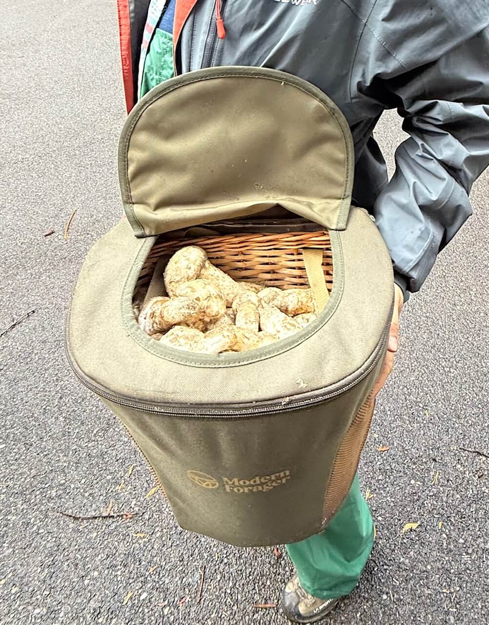 Foraging Crossbody/Backpack with Magnetic Lid and Zipper