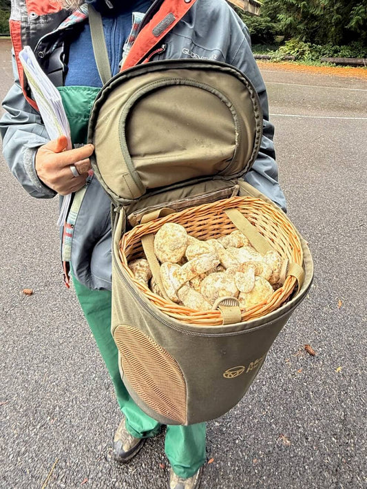 Foraging Crossbody/Backpack with Magnetic Lid and Zipper