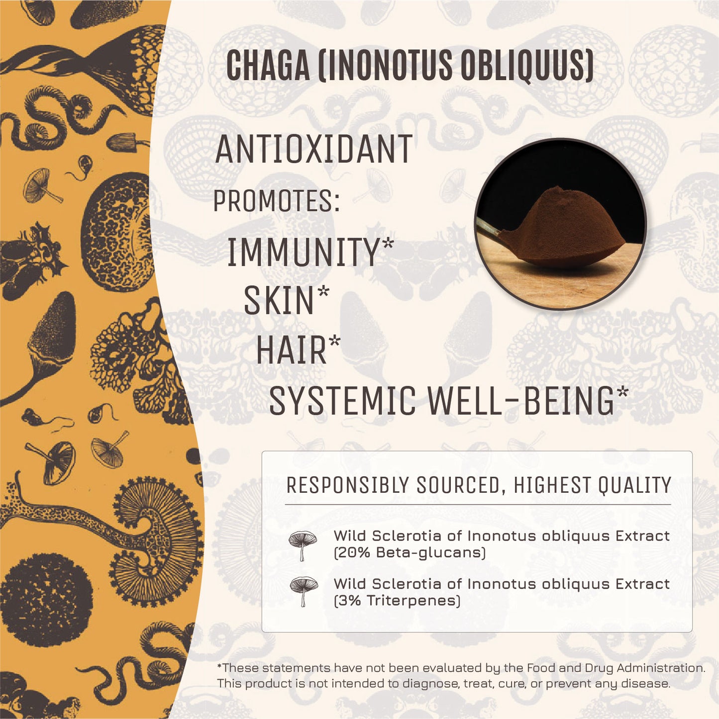 Hamilton's Mushrooms - True Chaga