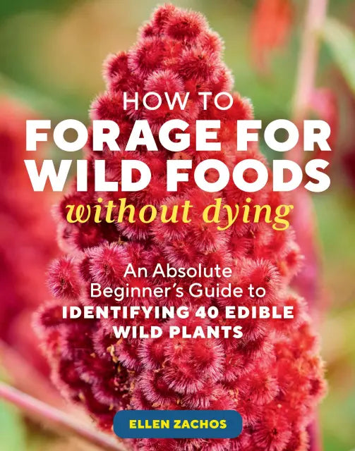 How to Forage for Wild Foods without Dying An Absolute Beginner's Guide to Identifying 40 Edible Wild Plants