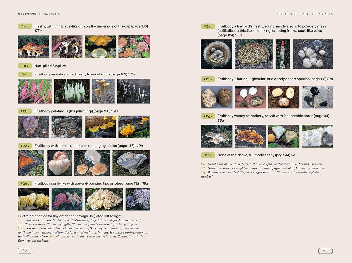 Mushrooms of Cascadia - An Illustrated Key to the Fungi of the Pacific Northwest