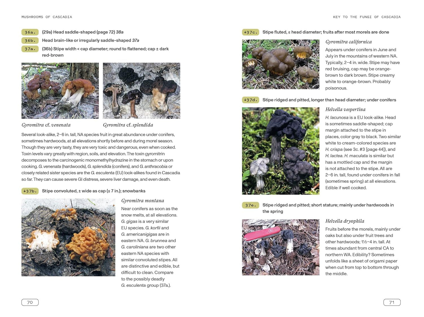 Mushrooms of Cascadia - An Illustrated Key to the Fungi of the Pacific Northwest