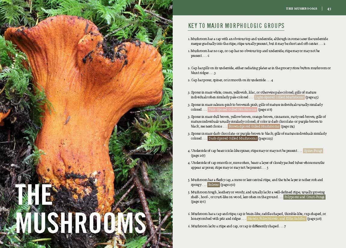 Mushrooms of the Pacific Northwest - Revised Edition