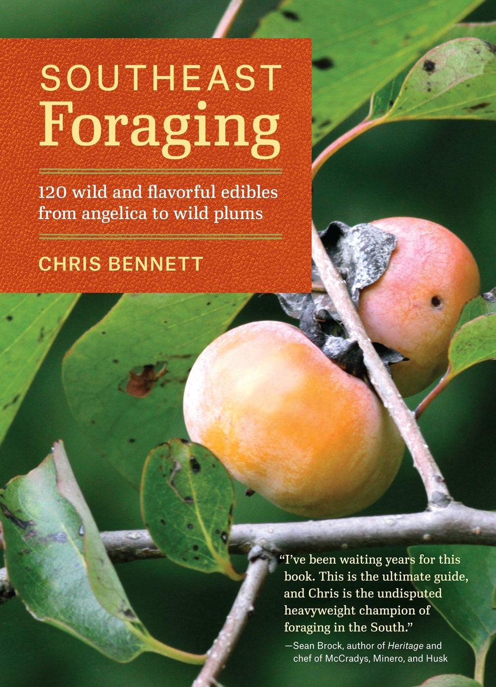 Southeast Foraging: 120 Wild and Flavorful Edibles from Angelica to Wild Plums