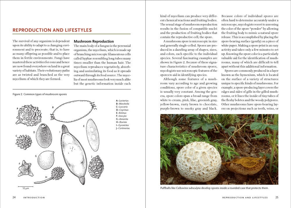 Mushrooms of the Rocky Mountain Region