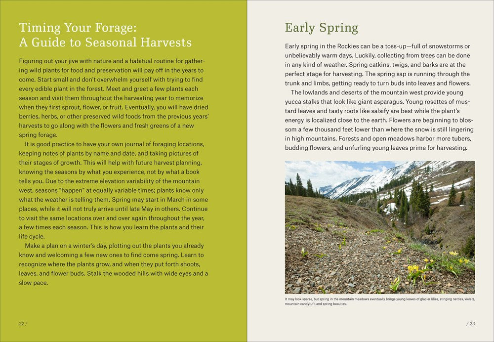 Mountain States Foraging: 115 wild and flavorful edibles from alpine sorrel to wild hops