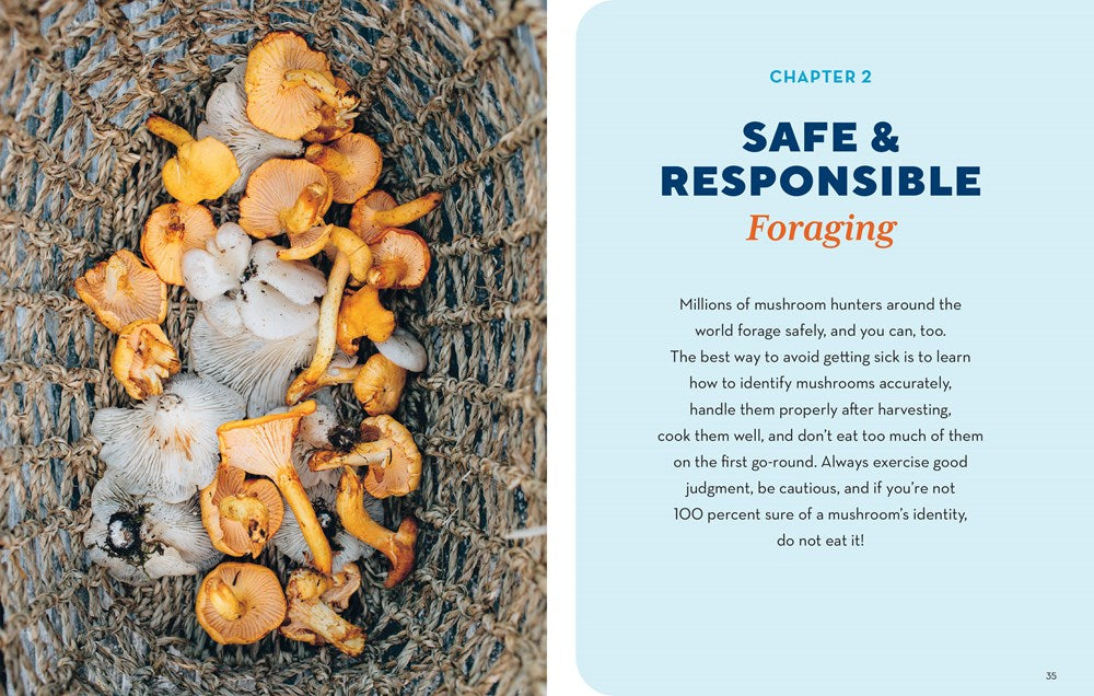 How to Forage for Mushrooms Without Dying: An absolute beginner's guide to identifying 29 wild, edible mushrooms