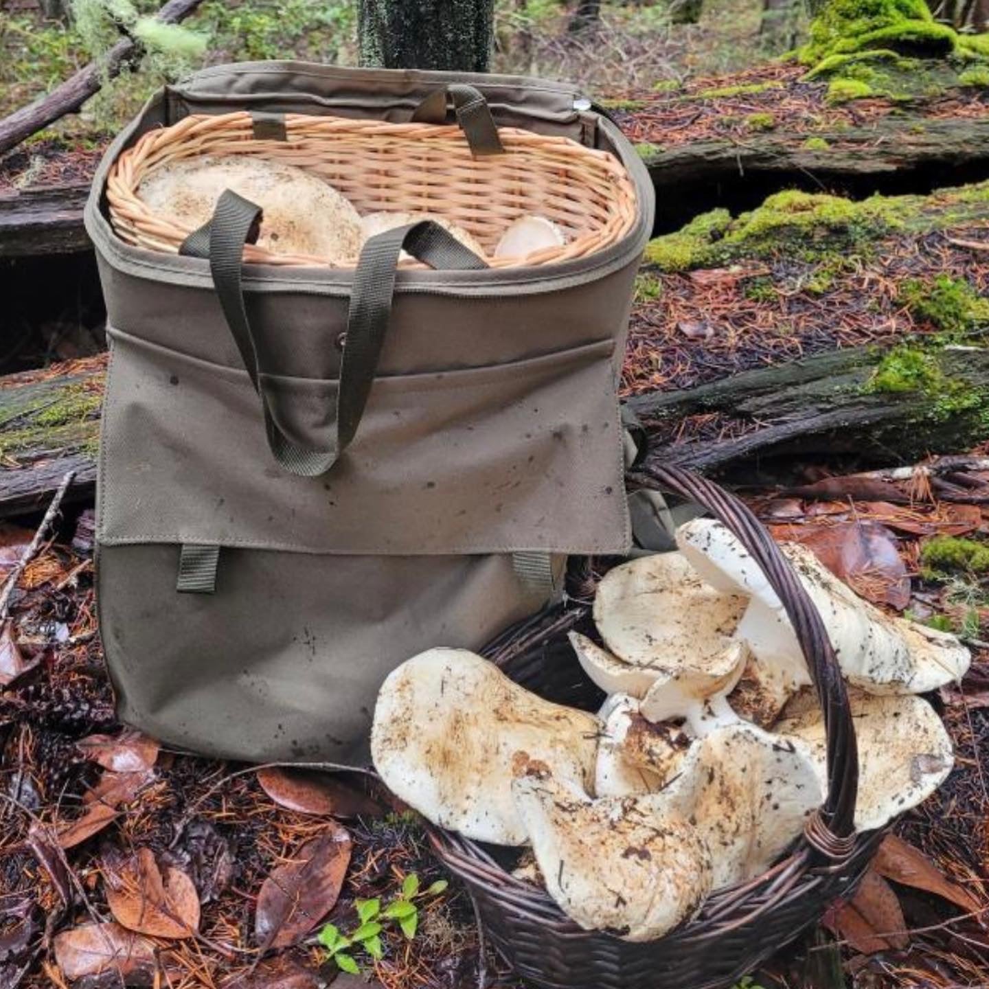 Foraging Backpack with Internal Wicker Basket