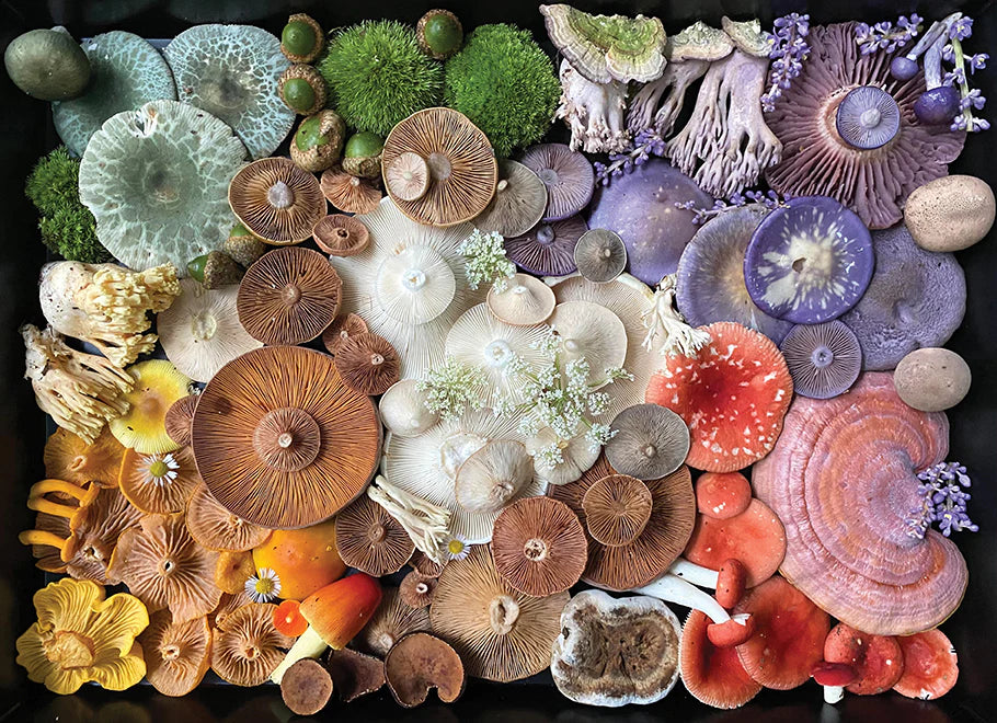 Mushroom Medley Puzzle