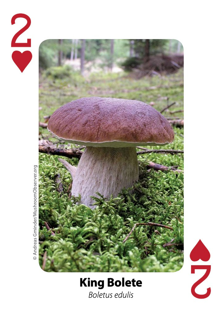 Mushroom Playing Cards