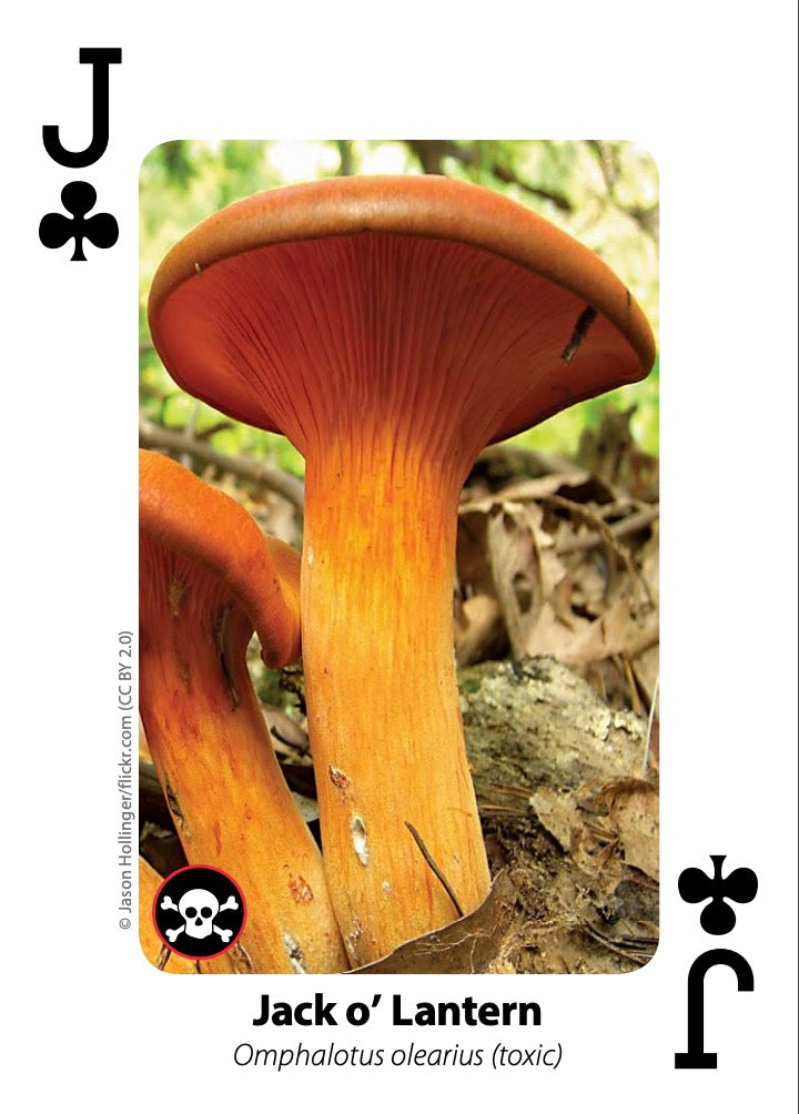 Mushroom Playing Cards