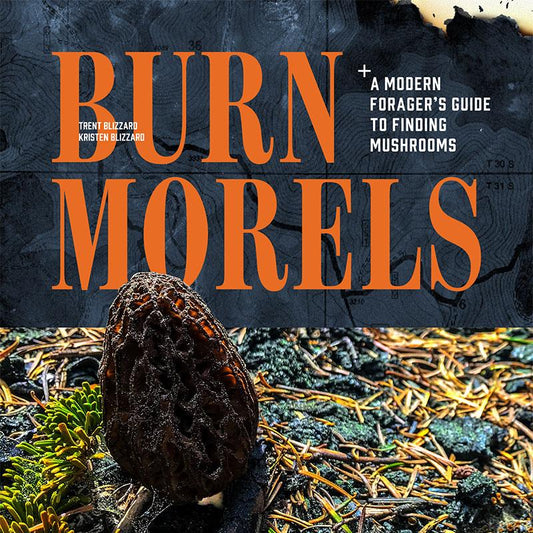 Burn Morels: A Modern Forager's Guide to Finding Mushrooms