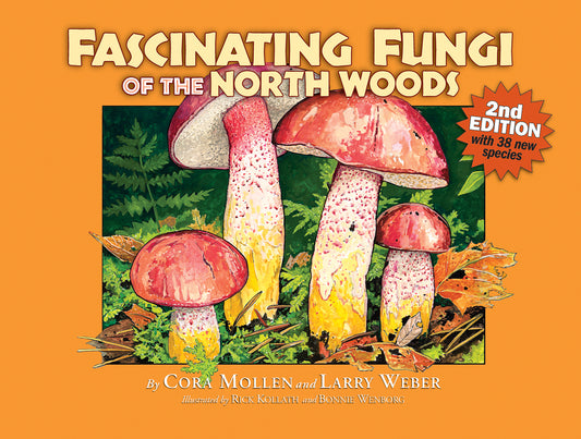 Fascinating Fungi of the Northwoods