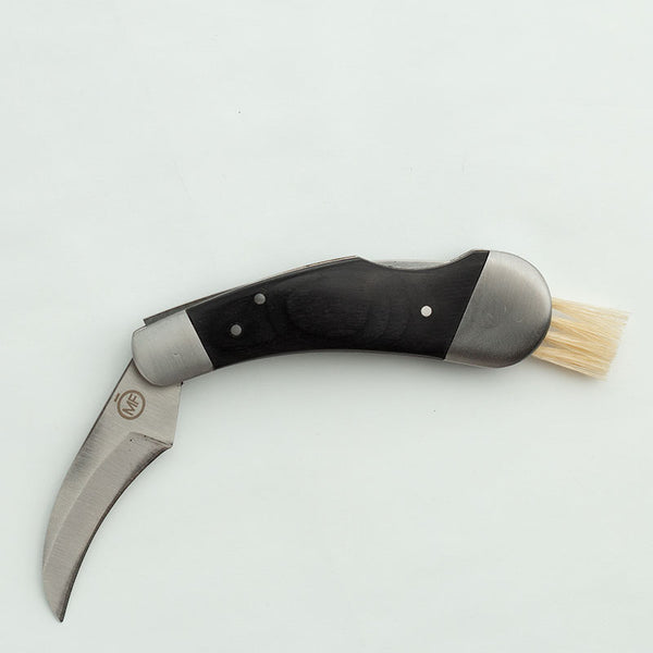 Modern Forager Mushroom Knife | Foraging Knife & Brush